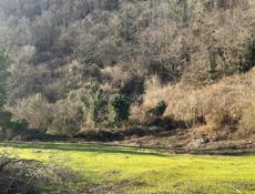 Поселок Цандрыпш участок 