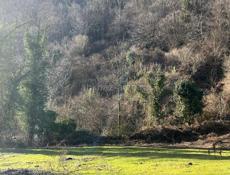 Поселок Цандрыпш участок 