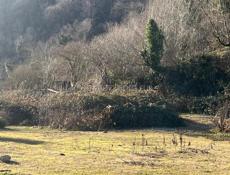 Поселок Цандрыпш участок 