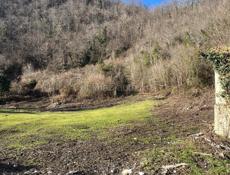 Поселок Цандрыпш участок 