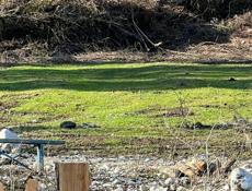 Поселок Цандрыпш участок 