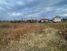 15 соток Цандрипш 