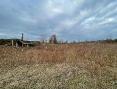 15 соток Цандрипш 