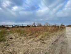 15 соток Цандрипш 