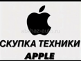 Скупка айфонов 