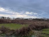 Золотой берег 30 соток 