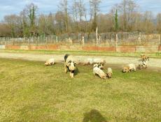 Все по телефону!!!