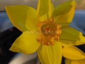 Присматрю за Домом на круглый год