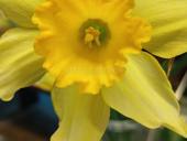 Участок на маяке