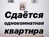 Сдается до июня