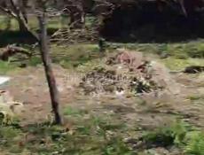 Срочно!Участок рядом с Аэропортом