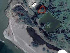 Птицефабрика, срочно 