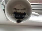 Прецказиваю будушие