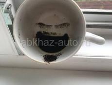 Прецказиваю будушие