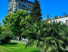 1 - К. КВАРТИРА С ВИДОМ НА МОРЕ В СУХУМЕ