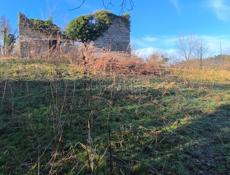 Улица Братья Зантария