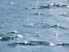 СНИМУ КВАРТИРУ 