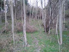 Продам участок в Эшере