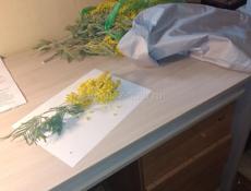 Вакансия на работу КПП Псоу (ГОС КАРАНТИННАЯ СЛУЖБА)