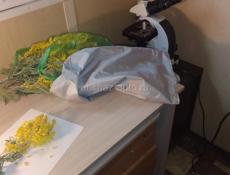 Вакансия на работу КПП Псоу (ГОС КАРАНТИННАЯ СЛУЖБА)