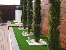 Озеленение