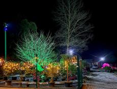 Озеленение