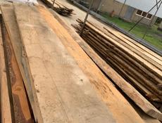 древесина ясен 