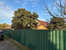 Срочно !!! Не дорого !