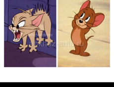 Ищу работу!