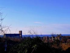 Большой в Эшере