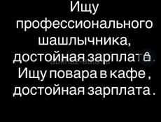 Ищу повара и шашлычника!