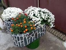 Цветочные вазоны