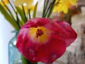 Участок на маяке