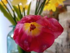 Участок на маяке