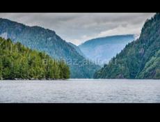 Ищу работу шашлычник