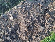 Продаю козий навоз сухой