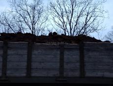 Продаю козий навоз сухой