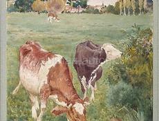 Продается 2 коровы 