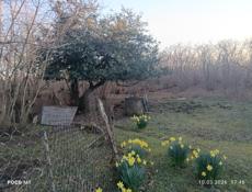 Продаётся дом в Гали в раёне 1 тагилон 