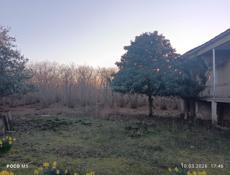 Продаётся дом в Гали в раёне 1 тагилон 