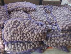 Картофель на посадку 