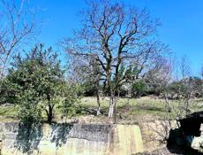 27 соток земли в Яштухе с ветхим строением. 