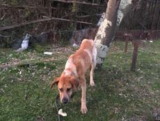 Кто потерял ? 