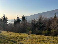 Земельный участок от 10 соток , можно и больше 