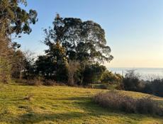 Земельный участок от 10 соток , можно и больше 