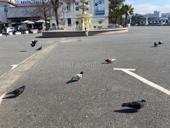 Торговая точка 