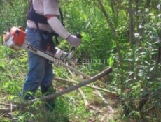 Расчистка участков ,спил или кронирование  деревьев.