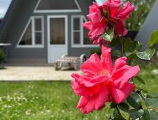 Сдаю домики A-frame 