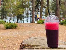 Сдаю домики A-frame 