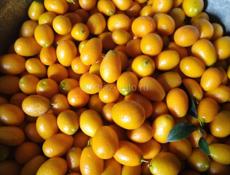 Продаю кумкват 10кг